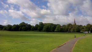 Green lawn of Cotteridge Park